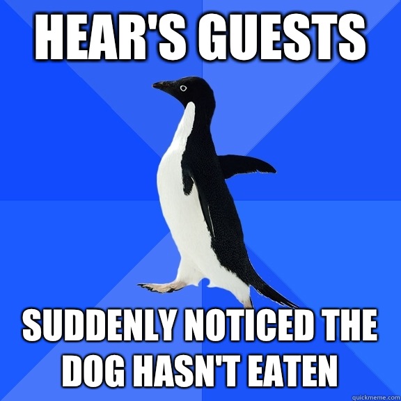 Hear's guests suddenly noticed the dog hasn't eaten  Socially Awkward Penguin
