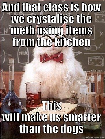 AND THAT CLASS IS HOW WE CRYSTALISE THE METH USING ITEMS FROM THE KITCHEN THIS WILL MAKE US SMARTER THAN THE DOGS Chemistry Cat