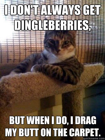 I don't always get dingleberries, but when I do, I drag my butt on the carpet.  The Most Interesting Cat in the World