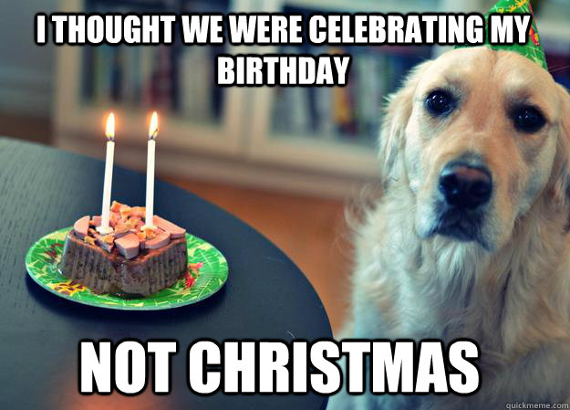 i thought we were celebrating my birthday not christmas - i thought we were celebrating my birthday not christmas  Sad Birthday Dog