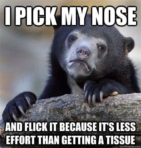 I pick my nose and flick it because it's less effort than getting a tissue  Confession Bear