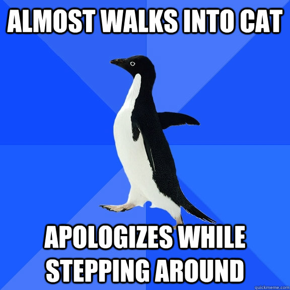 Almost walks into cat apologizes while stepping around  Socially Awkward Penguin