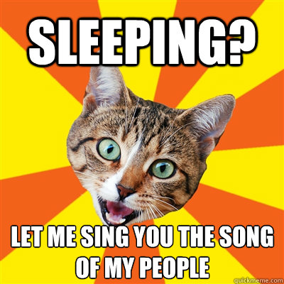 Sleeping? Let me sing you the song of my people - Sleeping? Let me sing you the song of my people  Bad Advice Cat