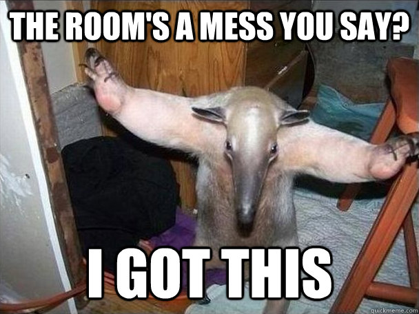 The room's a Mess you say? i got this - The room's a Mess you say? i got this  I got this