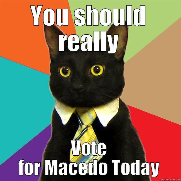 YOU SHOULD REALLY VOTE FOR MACEDO TODAY Business Cat