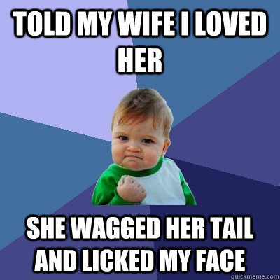 Told my wife I loved her She wagged her tail and licked my face - Told my wife I loved her She wagged her tail and licked my face  Success Kid