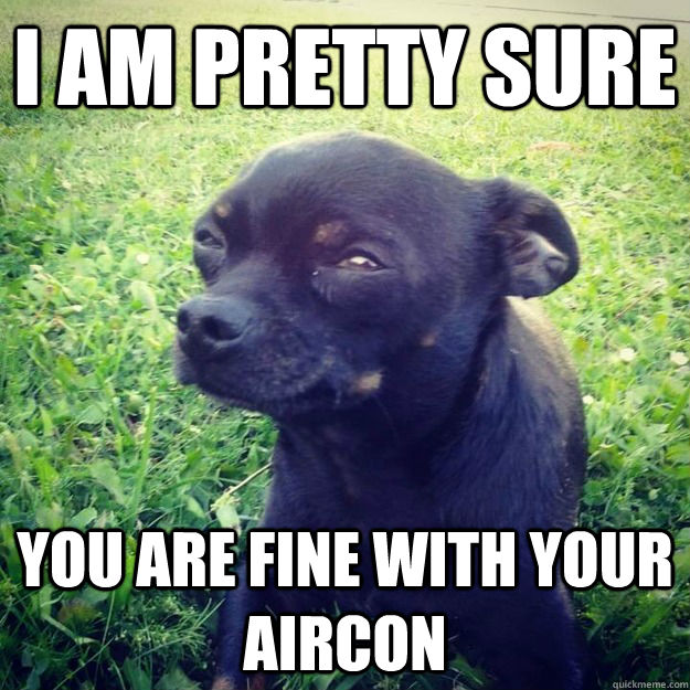 i am pretty sure you are fine with your aircon  Skeptical Dog