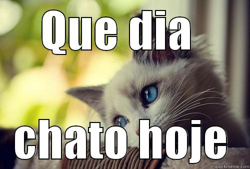 QUE DIA  CHATO HOJE First World Problems Cat