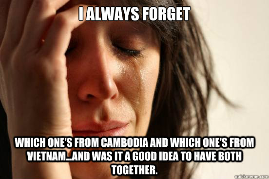 i always forget which one's from cambodia and which one's from vietnam...and was it a good idea to have both together.  First World Problems