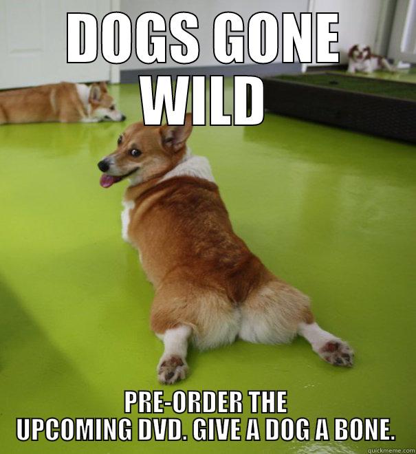 DOGS GONE WILD PRE-ORDER THE UPCOMING DVD. GIVE A DOG A BONE. Misc