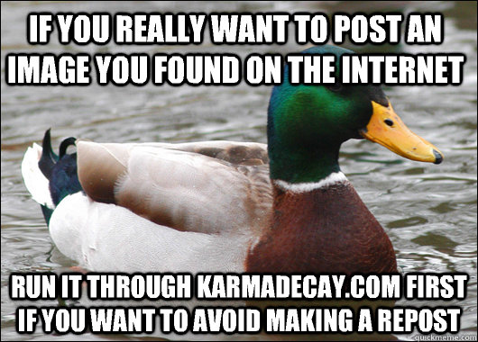 if you really want to post an image you found on the internet run it through karmadecay.com first if you want to avoid making a repost - if you really want to post an image you found on the internet run it through karmadecay.com first if you want to avoid making a repost  Actual Advice Mallard