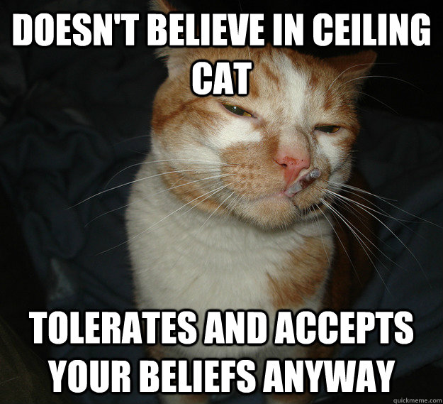 doesn't believe in ceiling cat tolerates and accepts your beliefs anyway  Cool Cat Craig