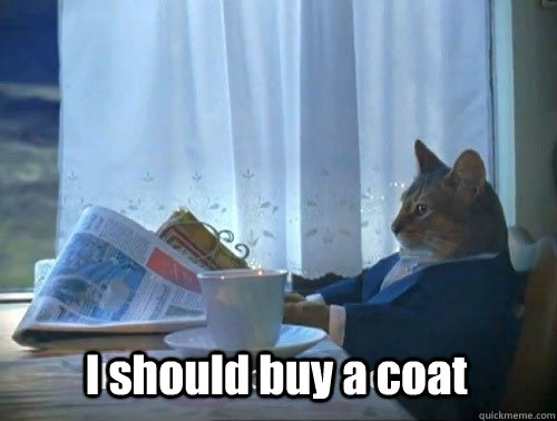 I should buy a coat  Fancy Cat