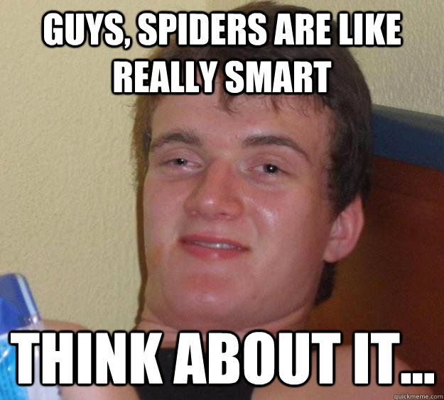 Guys, Spiders are like really smart think about it...  10 Guy