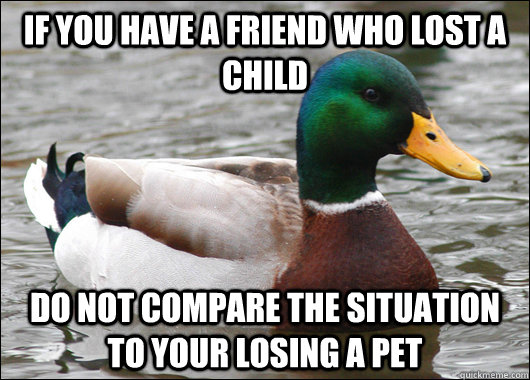 If you have a friend who lost a child Do not compare the situation to your losing a pet - If you have a friend who lost a child Do not compare the situation to your losing a pet  Actual Advice Mallard