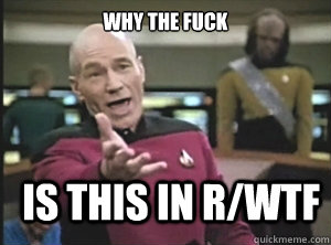 why the fuck is this in r/wtf  Annoyed Picard