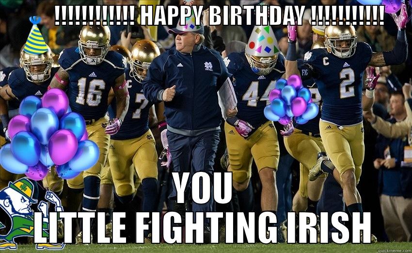 ND Fighting Irish for Harold's DB -             !!!!!!!!!!!! HAPPY BIRTHDAY !!!!!!!!!!!       YOU LITTLE FIGHTING IRISH Misc