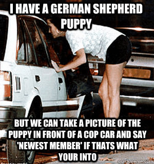 I have a german shepherd puppy But we can take a picture of the puppy in front of a cop car and say 'newest member' if thats what your into - I have a german shepherd puppy But we can take a picture of the puppy in front of a cop car and say 'newest member' if thats what your into  Karma Whore