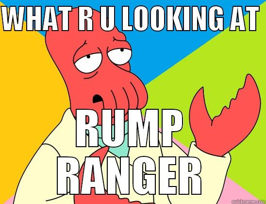 WHAT R U LOOKING AT  RUMP RANGER Futurama Zoidberg 