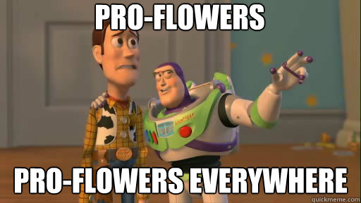 Pro-Flowers Pro-Flowers everywhere  Everywhere