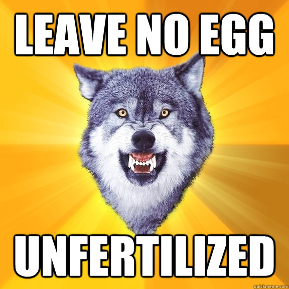 leave no egg unfertilized  Courage Wolf