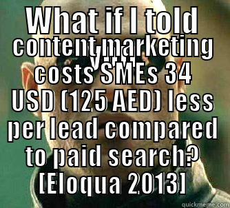WHAT IF I TOLD YOU CONTENT MARKETING COSTS SMES 34 USD (125 AED) LESS PER LEAD COMPARED TO PAID SEARCH? [ELOQUA 2013] Matrix Morpheus