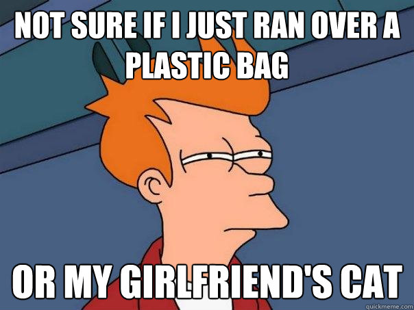 not sure if I just ran over a plastic bag Or my girlfriend's cat - not sure if I just ran over a plastic bag Or my girlfriend's cat  Futurama Fry