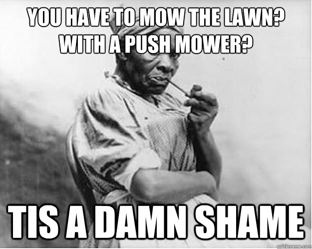 You have to mow the lawn? With a push mower? Tis a damn shame  Unimpressed Slave