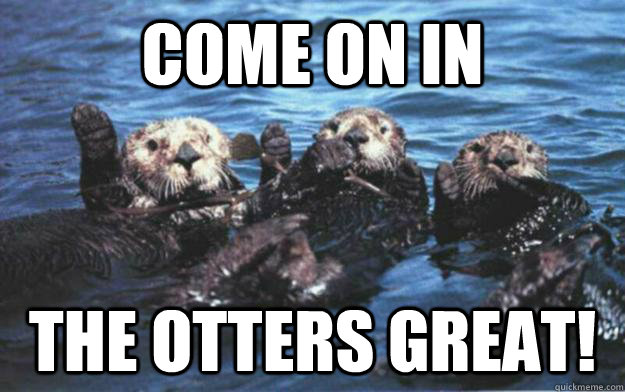 Come on in The otters great! - Come on in The otters great!  Otter Puns