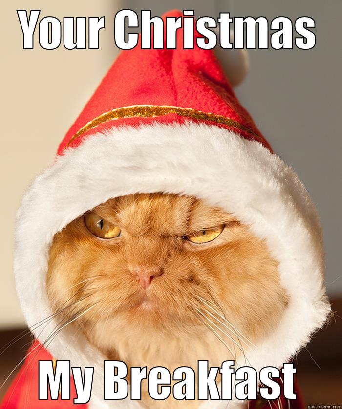 YOUR CHRISTMAS MY BREAKFAST Misc