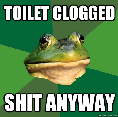 Toilet clogged Shit anyway  Foul Bachelor Frog
