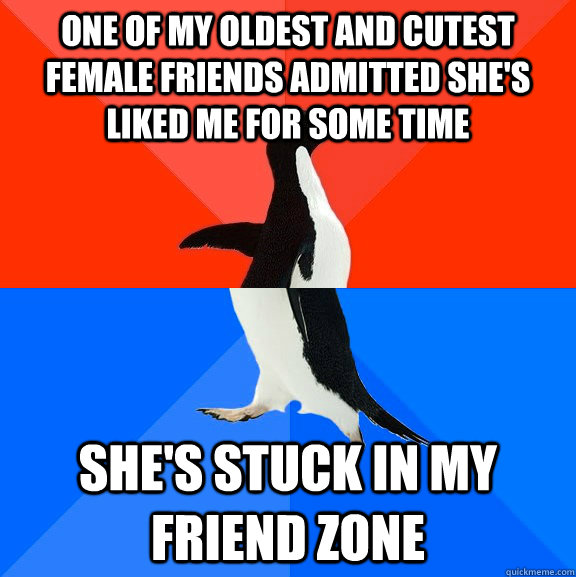 One of my oldest and cutest female friends admitted she's liked me for some time She's stuck in my friend zone  Socially Awesome Awkward Penguin