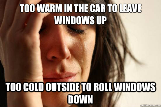 too warm in the car to leave windows up too cold outside to roll windows down - too warm in the car to leave windows up too cold outside to roll windows down  First World Problems