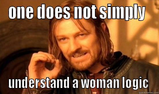 ONE DOES NOT SIMPLY  UNDERSTAND A WOMAN LOGIC Boromir