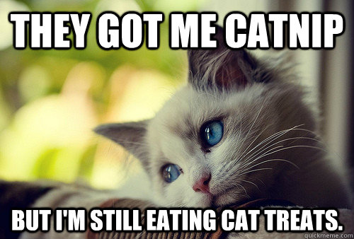 They got me catnip but I'm still eating cat treats.  First World Problems Cat