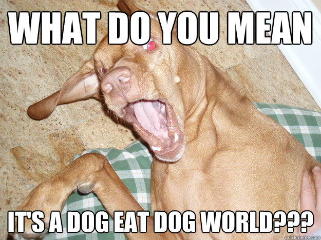 What do you mean it's a dog eat dog world??? - What do you mean it's a dog eat dog world???  Misc