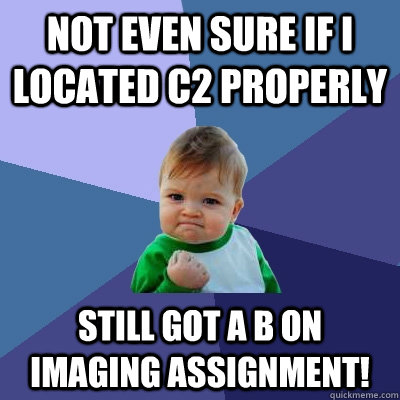 Not even sure if I located C2 properly Still got a B on imaging assignment! - Not even sure if I located C2 properly Still got a B on imaging assignment!  Success Kid