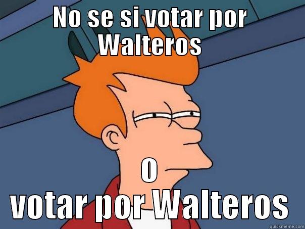NO SE SI VOTAR POR WALTEROS O VOTAR POR WALTEROS Futurama Fry