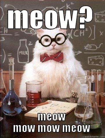 MEOW? MEOW MOW MOW MEOW Chemistry Cat