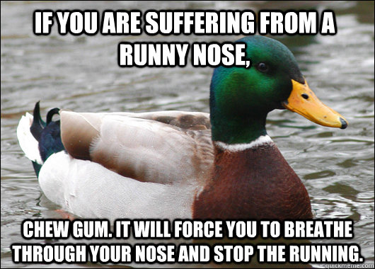 IF you are suffering from a runny nose, chew gum. It will force you to breathe through your nose and stop the running.  Actual Advice Mallard