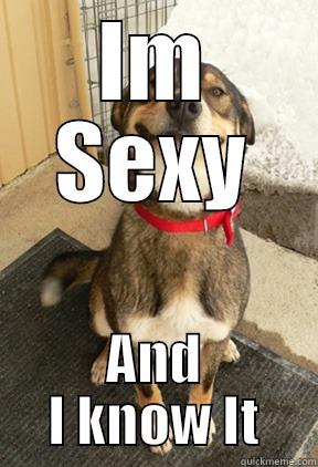 IM SEXY AND I KNOW IT Good Dog Greg