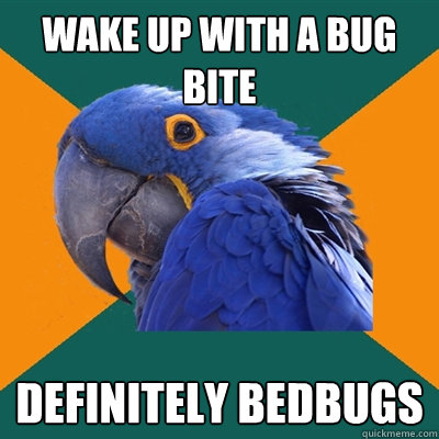 wake up with a bug bite definitely bedbugs  Paranoid Parrot