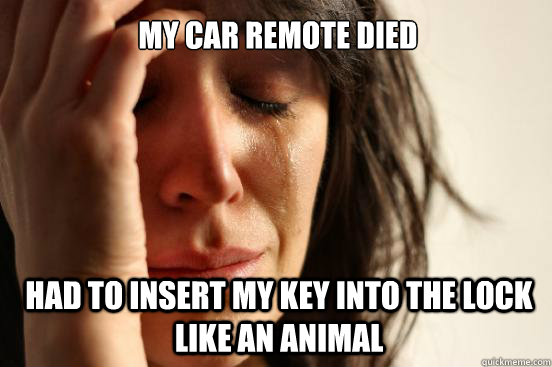 My car remote died had to insert my key into the lock like an animal  First World Problems