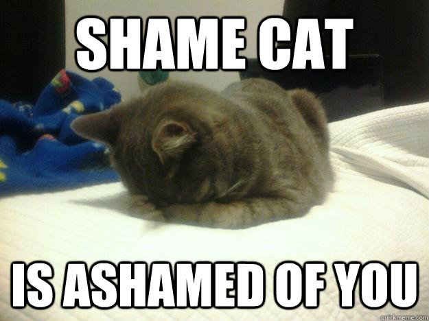 Shame Cat Is Ashamed Of You  