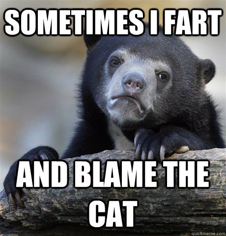 sometimes i fart and blame the cat   Confession Bear