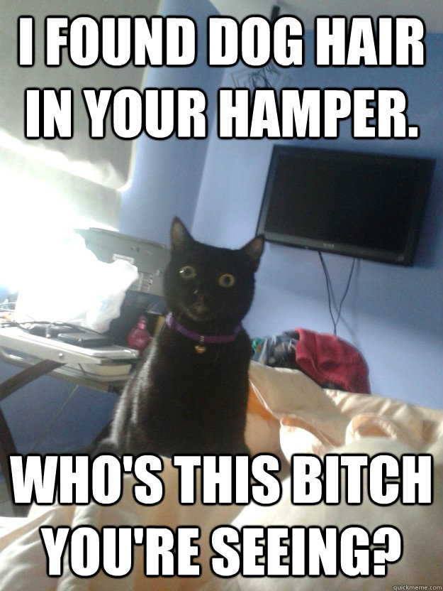 i found dog hair in your hamper. who's this bitch you're seeing? - i found dog hair in your hamper. who's this bitch you're seeing?  overly attached cat