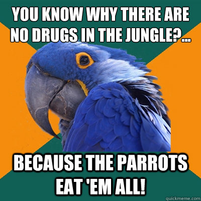 You know why there are no drugs in the jungle?... because the parrots eat 'em all!  Paranoid Parrot
