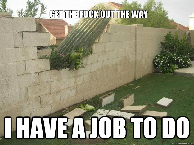 get the fuck out the way I have a job to do - get the fuck out the way I have a job to do  Determined cactus