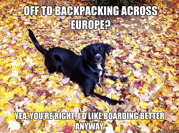 Off to backpacking across Europe? yea, you're right, I'd like boarding better anyway Caption 3 goes here  Guilt Giving Good Dog