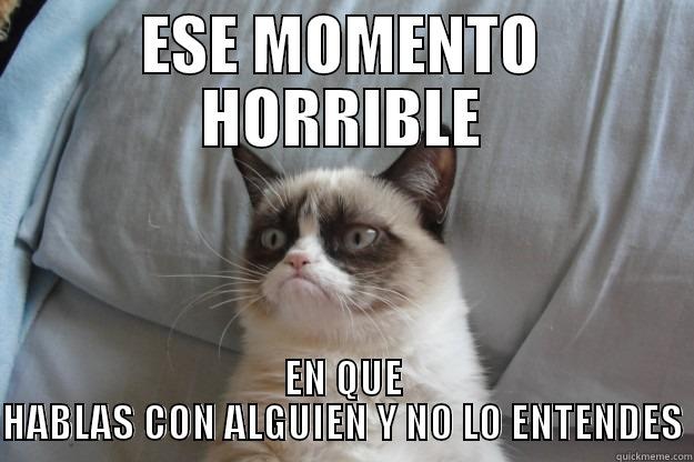 NO TE ENTIENDO - ESE MOMENTO HORRIBLE EN QUE HABLAS CON ALGUIEN Y NO LO ENTENDES Grumpy Cat